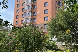 1-к. квартира, 49,7м², 1/9 эт.